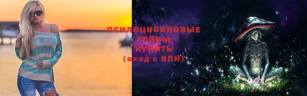 шишки Алзамай