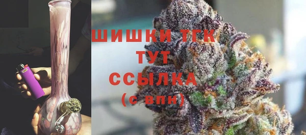 шишки Алзамай