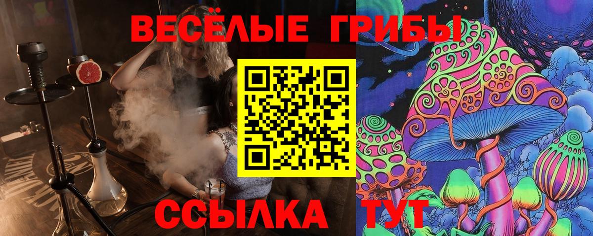 Галлюциногенные грибы мицелий Дятьково